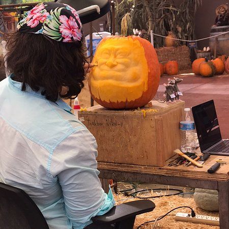 Carefree's Enchanted Pumpkin Garden